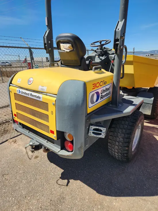 2018 Wacker Neuson 3001