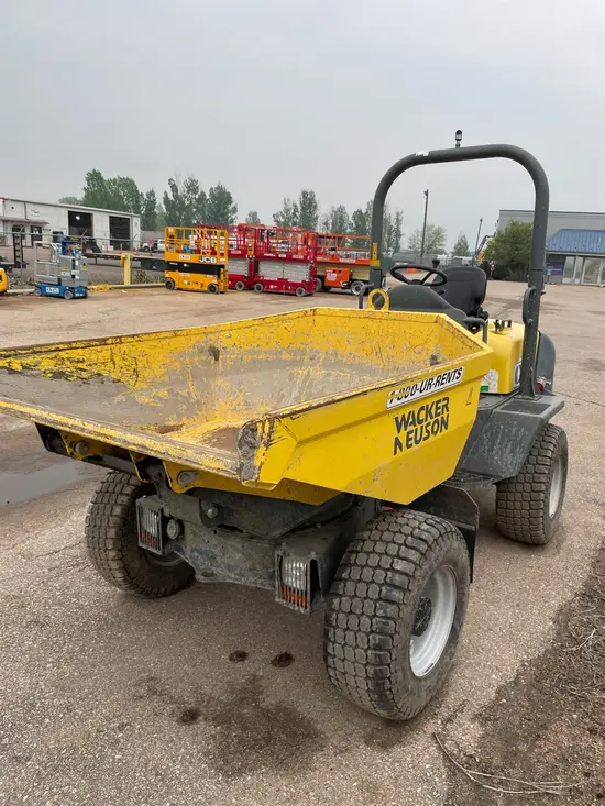 2018 Wacker Neuson 3001