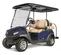 Blue and brown Clubcar Tempo electric golf cart