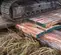 EMTEK® Heavy-Duty Timber Swamp Mat Wetland Access System