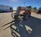 2017 JLG 8042 S Forklift