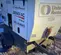 2019 Magnum Pro MDG25IF4 Diesel Generator