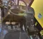 2016 JCB 509-42 S Forklift
