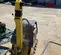 2021 Wacker Neuson DPU6555He Vibratory Plate Compactor