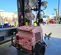 2017 Magnum Pro MLT6SM Towable Light Tower
