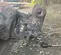 2014 HELAC SVL-PT-10 Attachment