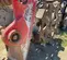 2019 FURUKAWA CW24III Compaction Attachment
