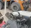 2018 Takeuchi TB240 Mini Excavator