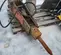 2019 Tamco Tools TNB-6M Attachment