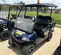 2022 EVOLUTION CLASSIC 4 PRO Utility Vehicle