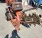 2017 Ditch Witch C14 Walk-Behind Trencher