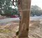 2019 Epiroc EC 150T Attachment