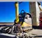 2021 Wacker Neuson DPU6555He Vibratory Plate Compactor
