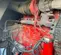 2014 Cummins C200D6RG Diesel Generator