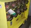 2018 ESL Power Systems 2282-21FWY