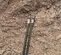 2019 Kent KF9FSP Attachment