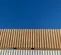 2018 TBD 40' SC 40 ft Storage Container