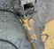 2014 Atlas Copco SB 452 Attachment