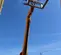 2016 JCB 507-42 Forklift
