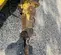 2016 Atlas Copco SB 452 Attachment