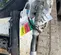2019 ATI McMillen 11072D-0022 Attachment