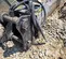 2019 Epiroc EC 150T Attachment