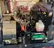 2022 Generac MLTS-4 Portable Work Light
