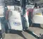 2021 Generac MLTS-2 Portable Work Light
