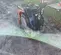 2018 Multiquip MVH508DZ Vibratory Plate Compactor