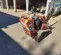 2018 Ditch Witch C24X Walk-Behind Trencher