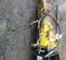 2017 Atlas Copco SB 452 Attachment