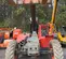 2016 Skyjack SJ843TH Forklift