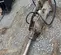 2017 FURUKAWA KF9FSP Attachment