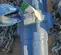 2012 JD NEUHAUS PROFI 10T Hoist