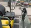 2018 Wacker Neuson 3001