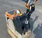 2021 Multiquip MVH408DZ Vibratory Plate Compactor