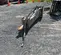 2019 Epiroc EC 150T Attachment