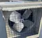2020 DRYAIR HEFA-600 Heater