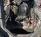 2018 Bobcat T550 Track Loader