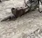 2019 Epiroc EC 100T Attachment