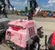 2017 Magnum Pro MLT6SM Towable Light Tower