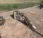 2019 Kent KF9FSP Attachment
