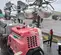 2016 Magnum Pro MLT6SM Towable Light Tower