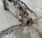 2019 FURUKAWA K-KF9SP Attachment