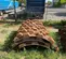 2018 BOMAG 84" PAD KIT Drum Roller