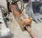 2019 Epiroc EC 150T Attachment