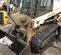 2018 Bobcat T550 Track Loader
