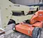 2014 JLG E450AJ Articulating Boom Lift