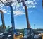 2016 JCB 507-42 Forklift