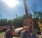 2016 SKYTRAK 6036 Forklift